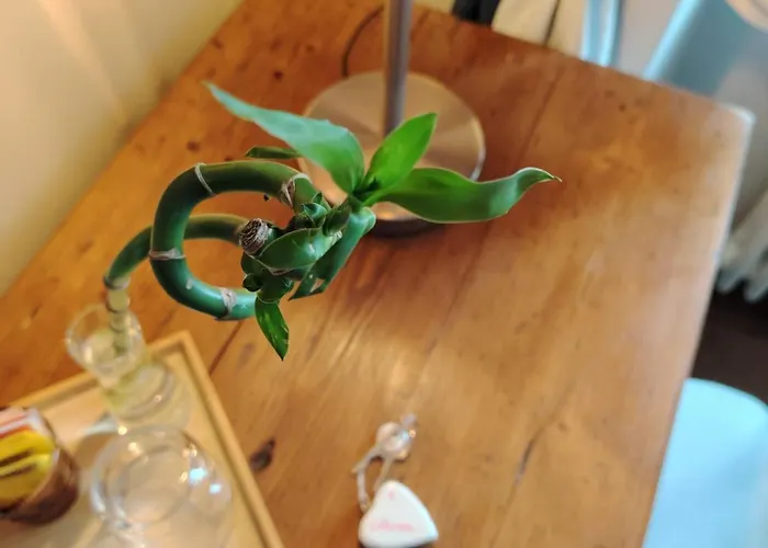 Artiminus Don Baldino Bed & Breakfast